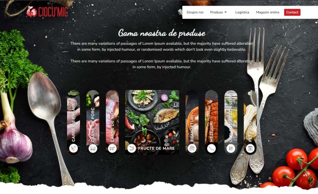 Website presentation